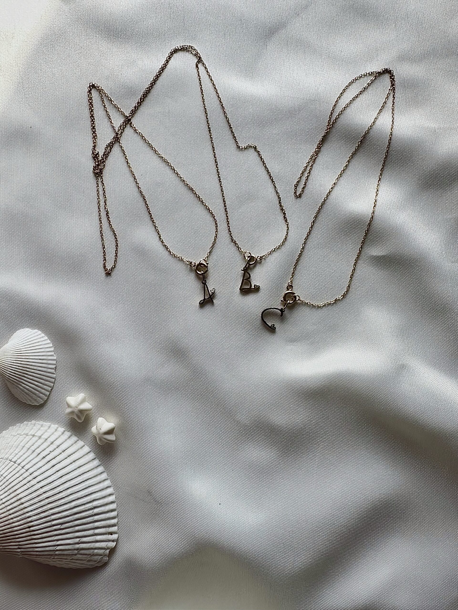 Zie Initial Necklace – a sleek